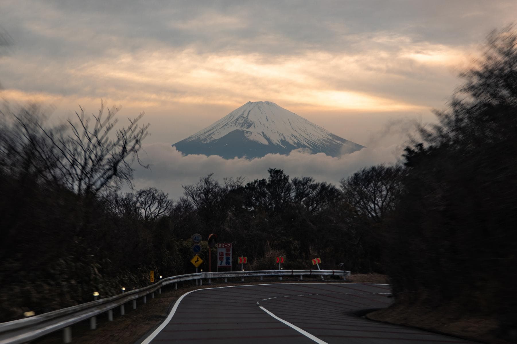 Fuji Private Day Trip